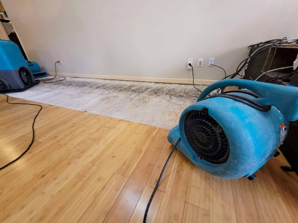 Professional Sewage Cleanup technician working in Lewisburg, PA
